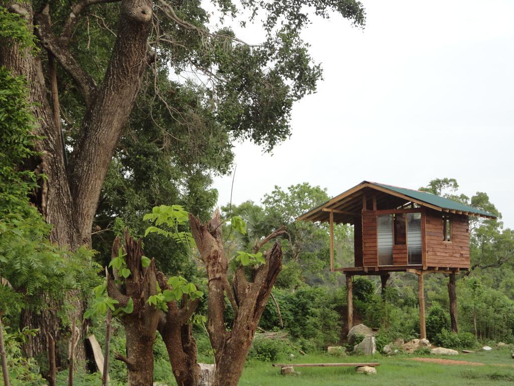 Sigiri Forest View 시기리야 외부 사진
