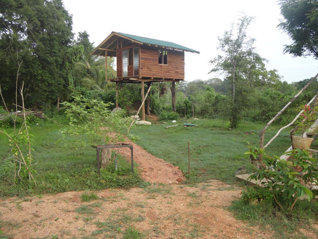 Sigiri Forest View 시기리야 외부 사진