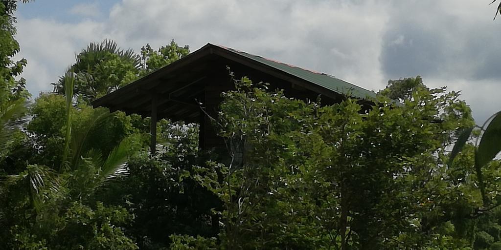 Sigiri Forest View 시기리야 외부 사진