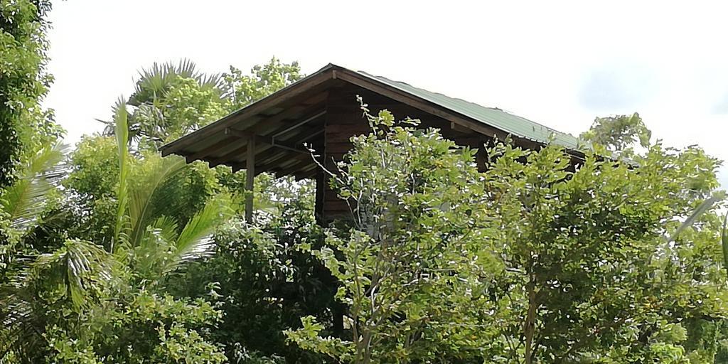 Sigiri Forest View 시기리야 외부 사진
